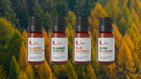 Fall & Winter Diffuser Blends